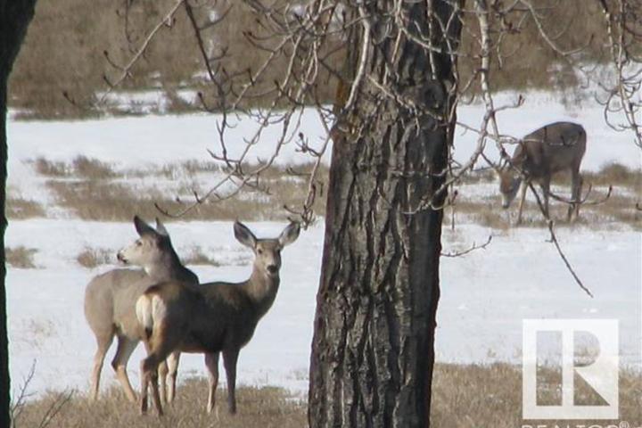49320 240a, Deer Crossing Estates, Rural Leduc County 2